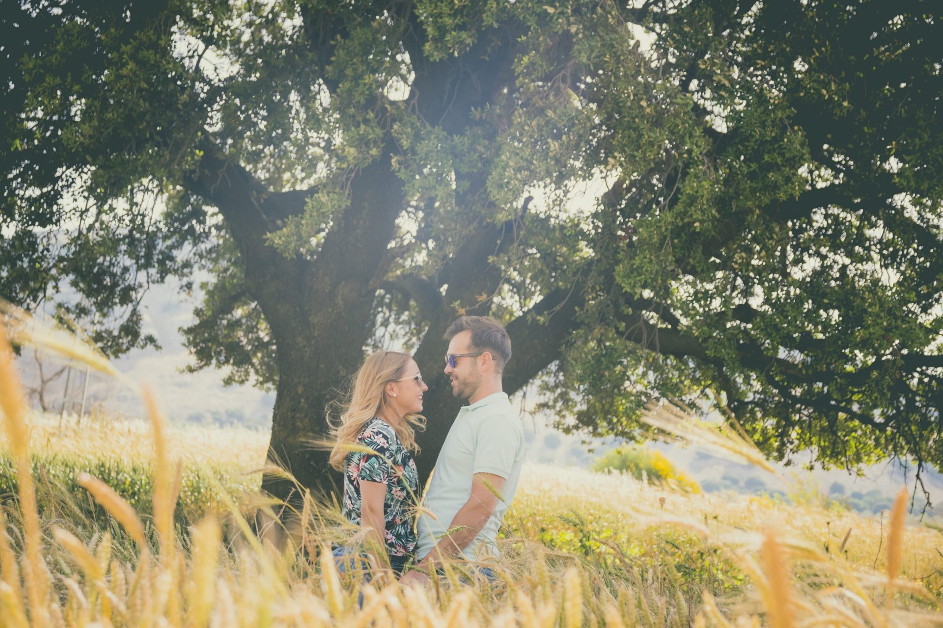 Preboda girasoles